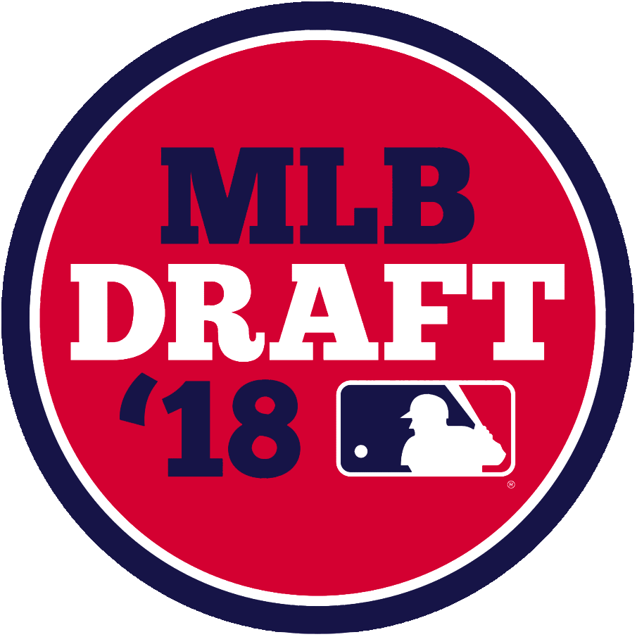 MLB Draft 2018 Primary Logo DIY iron on transfer (heat transfer)